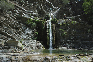 feature photo