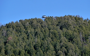 feature photo