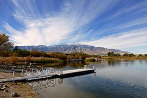 feature photo
