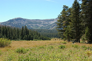 feature photo