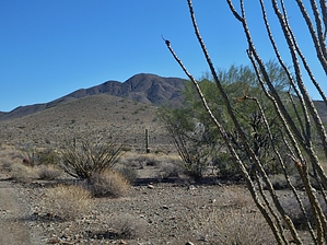 feature photo