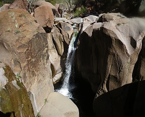 feature photo