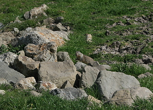 feature photo