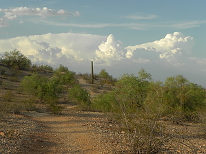 feature photo