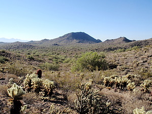 feature photo