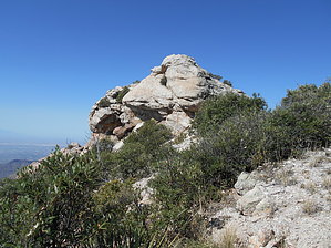 feature photo