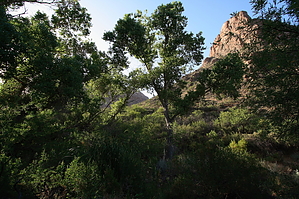 feature photo