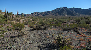 feature photo