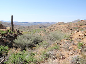 feature photo
