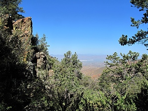 feature photo