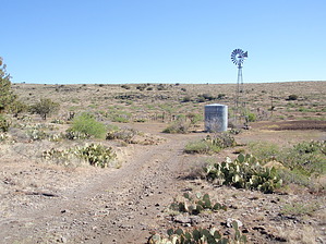 feature photo