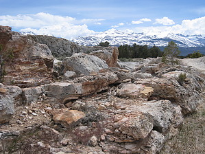 feature photo