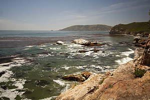 feature photo