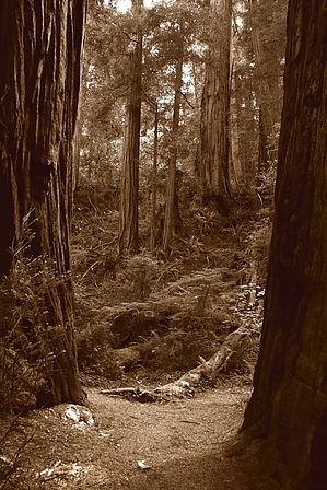 feature photo