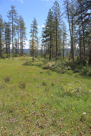 feature photo