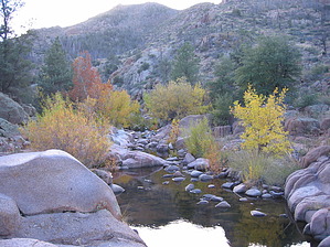 feature photo