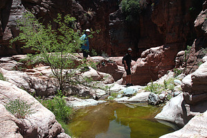 feature photo