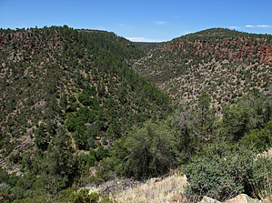 feature photo