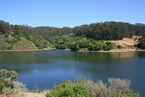 feature photo