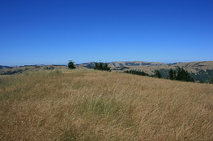 feature photo
