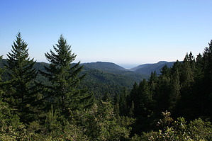 feature photo