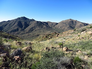 feature photo