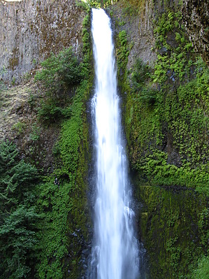 feature photo