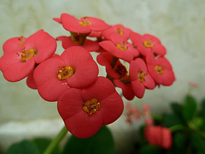 feature photo
