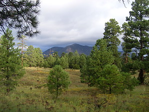 feature photo