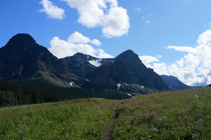 feature photo