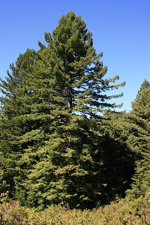feature photo