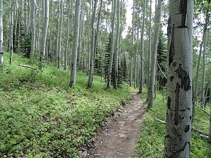 feature photo