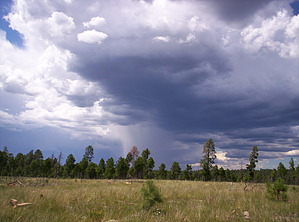 feature photo