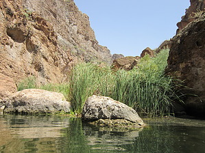 feature photo