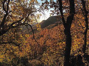 feature photo