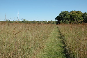 feature photo