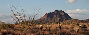 feature photo