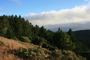 feature photo