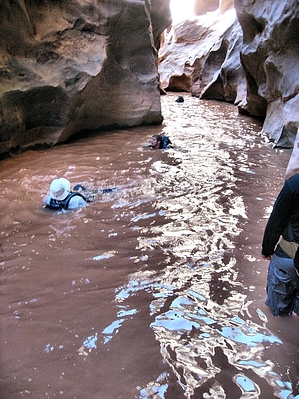 feature photo