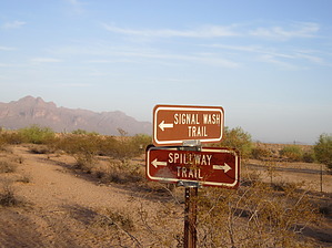 feature photo