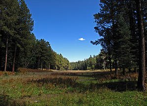 feature photo