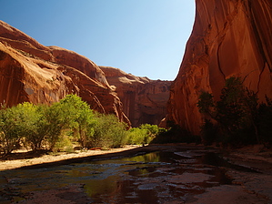 feature photo