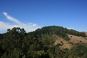 feature photo