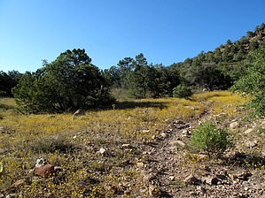 feature photo