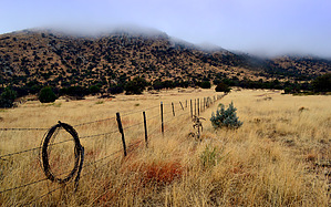 feature photo