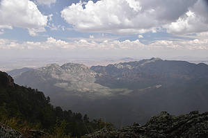 feature photo