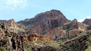 feature photo
