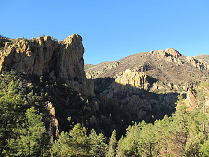 feature photo