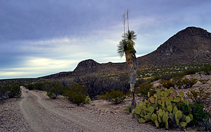 feature photo