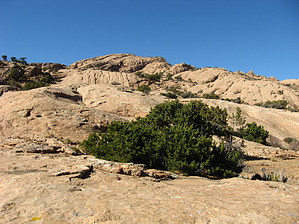 feature photo